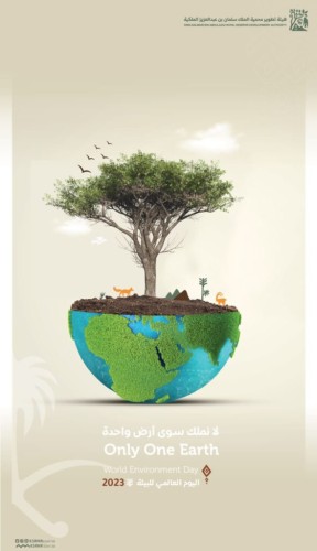 هيئة  تطوير  محمية  الملك  سلمان  بن عبدالعزيز  الملكية  تفعل  اليوم  العالمي  للبيئة