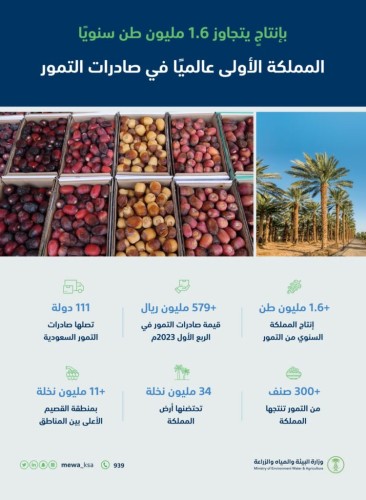 “البيئة”: المملكة تنتج أكثر من 1.6 مليون طن من التمور سنويًا.. بصادرات تجاوزت قيمة 1.28 مليار ريال
