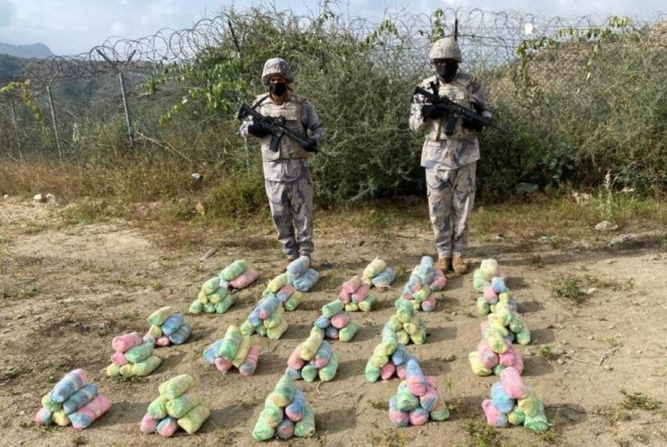 حرس الحدود بجازان يحبط تهريب (255) كيلوجرامًا من نبات القات المخدر