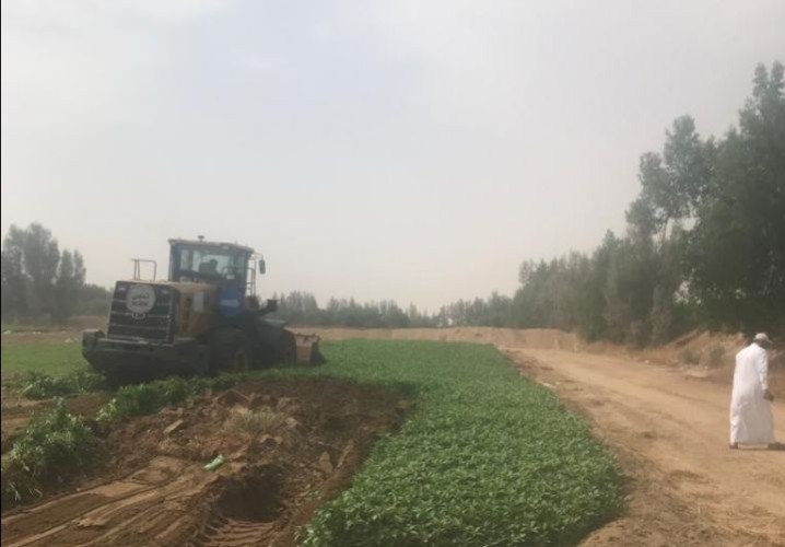 شاهد.. لحظة إزالة 4 مزارع تُسقى بمياه الصرف جنوب مكة