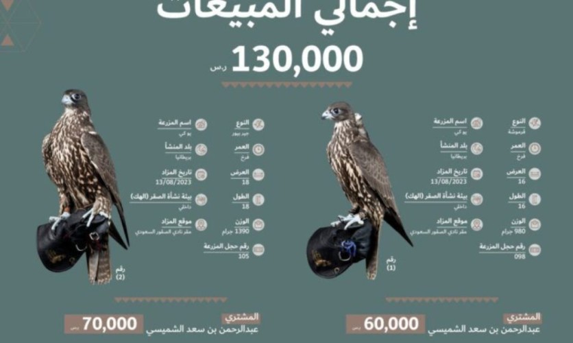 مزرعة بريطانية تقدم صقرين من أفضل صقورها في منصة المزاد الدولي لمزارع إنتاج الصقور