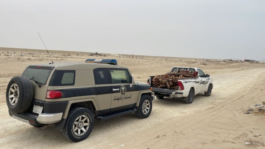 دوريات المجاهدين بالمنطقة الشرقية تضبط مخالفًا لنظام البيئة