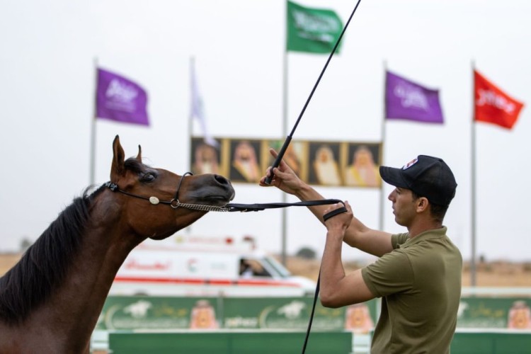 فروسية حائل تنظم حفل سباقها الرابع لهذا العام