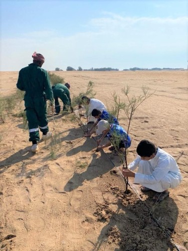 بلدية الخفجي تطلق حملة لزراعة 8000 شجيرة في عدد من الطرق