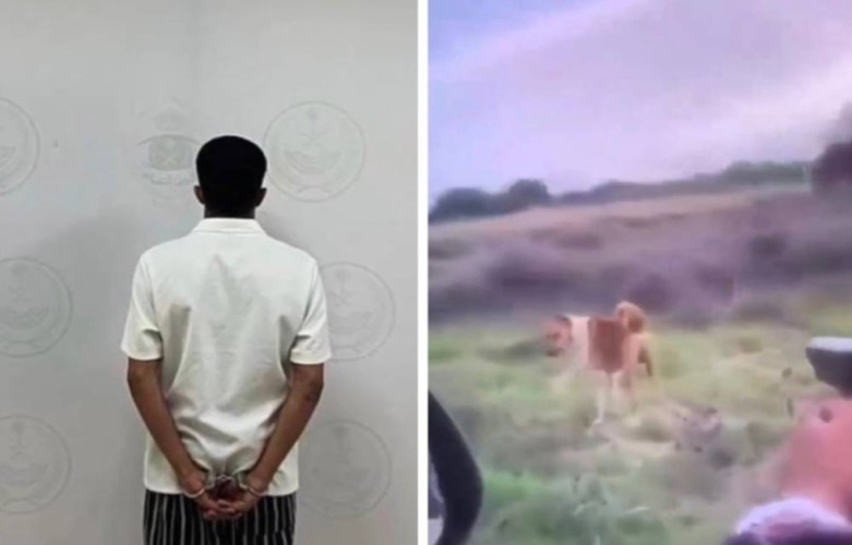 شرطة جازان تطيح بمواطن ظهر في مقطع وهو يطلق النار على حيوان