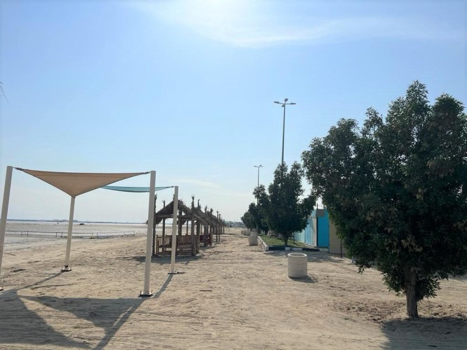 انطلاق مبادرة “جزيرتنا خضراء” بنسختها الثالثة على شاطئ الرملة البيضاء في القطيف السبت القادم