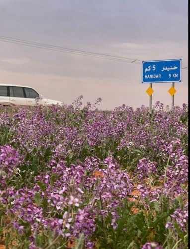 جميلة ياحنيدر