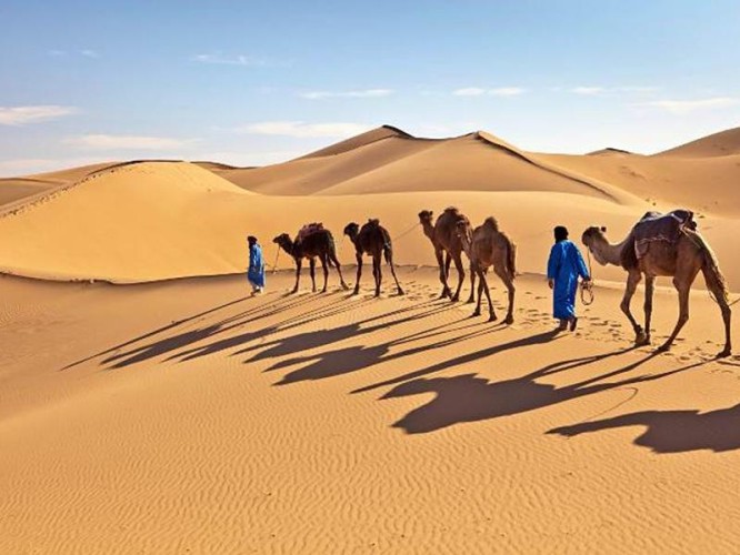 ” ذكرى يوم التأسيس السعودي “