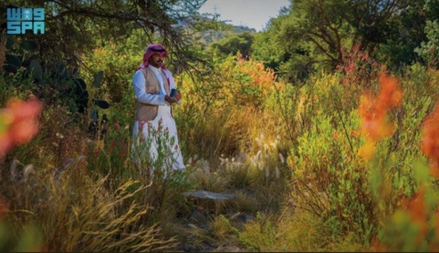 تحديد 27 مارس يوماً لمبادرة السعودية الخضراء بهدف التوعية بجهود العمل البيئي وتعزيز الاستدامة