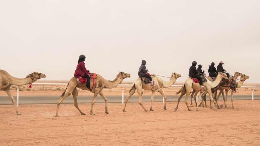 12 هجانة تختتم معسكر الجنادرية