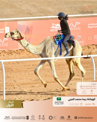 تألقت في ميادين الهجن وحققت لقب النسخة الأولى ريما الحربي .. هجانة العرب الأولى