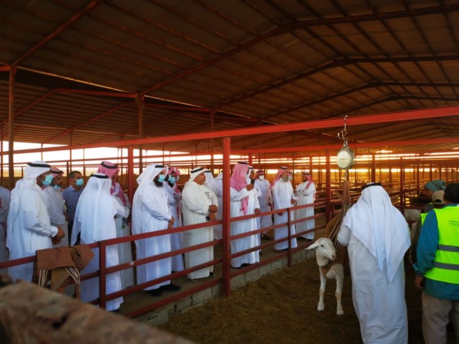 الوكيل المساعد للثروة الحيوانية يزور جمعية ثروة للتنمية الحيوانية بالرياض