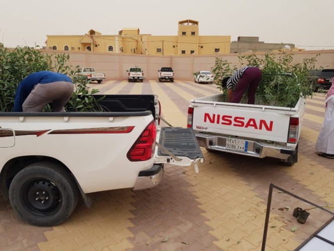 مكتب وزارة البيئة بـ”وادي الدواسر” يقوم بتوزيع عدد من الشتلات لتنمية الغطاء النباتي