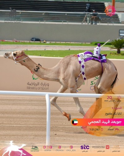 أمجاد .. المطية الأفضل في منافسات “الثنايا”