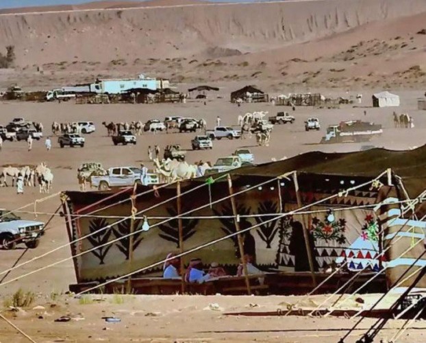 مزاد حائل للإبل يسجل دخل تجاوز “9 ملايين ريال”