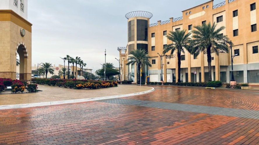 الهيئة الملكية تواصل الجهود لتحسين جودة الحياة وجمال الطبيعة بعد الأمطار بالجبيل الصناعية