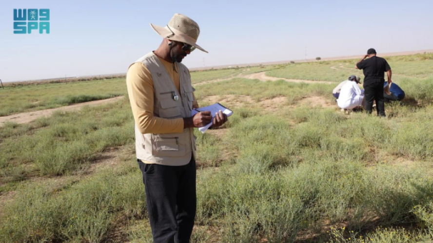 “كاكست” تواصل دورها الريادي في دعم الاستدامة وتحقيق أهداف السعودية الخضراء