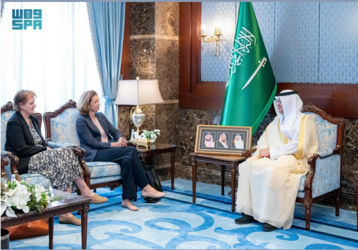 «محافظ الأحساء» يستقبل سفيرة مملكة النرويج لدى المملكة.. ويبحثان عددًا من الموضوعات
