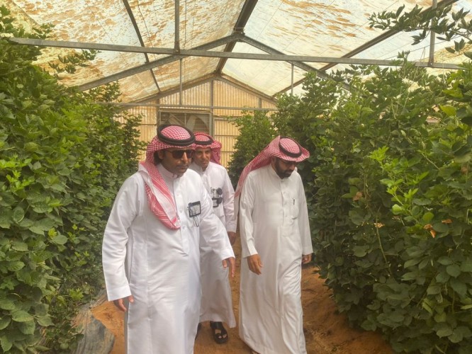 «بيئة رياض الخبراء» تتفقد البيوت المحمية والمشاتل وتبحث تحديات المزارعين