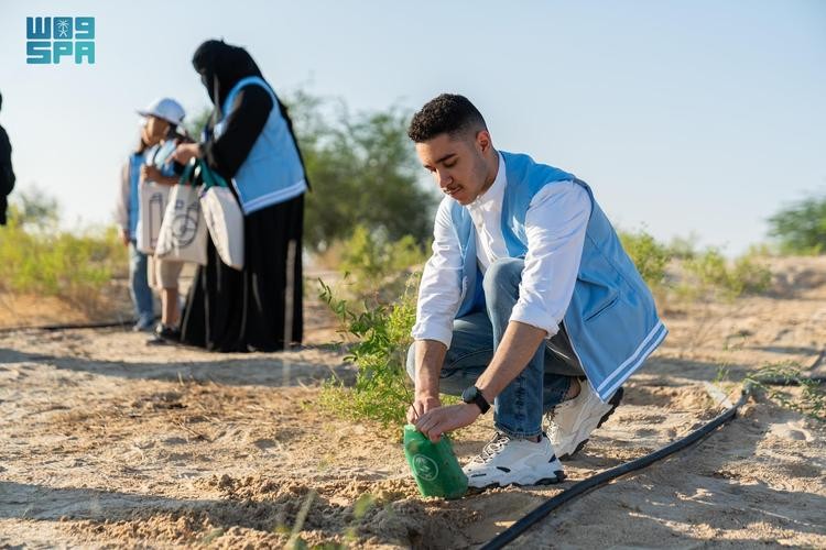 31 مليون شجرة في المنطقة الشرقية.. «الغطاء النباتي» يقود مشاريع تشجير ضخمة لتحقيق السعودية الخضراء