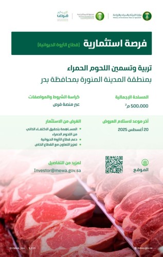 «البيئة» تطرح فرصة استثمارية لتسمين اللحوم الحمراء على مساحة 500 ألف م² بمحافظة بدر