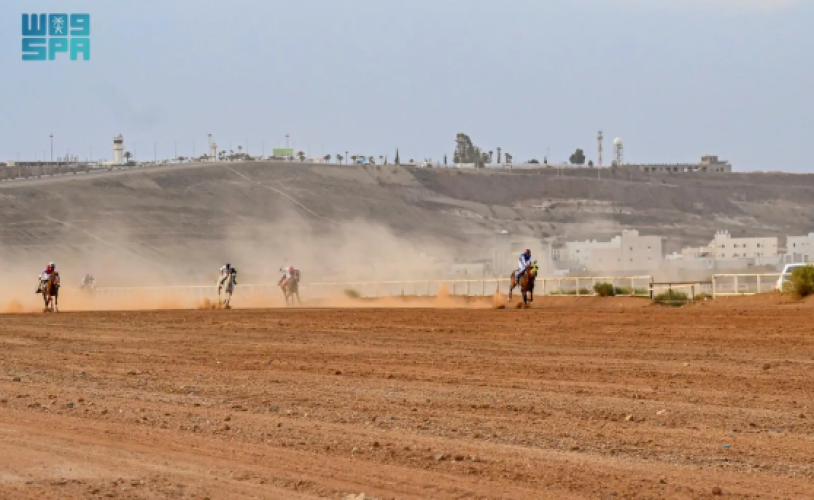 سباق الخيل الثاني في العقيق يشهد حضورًا رسميًا وتنافسًا قويًا بين الجياد المحلية والعربية
