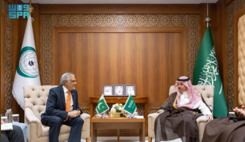 وزير الخارجية يبحث مع نظيره الباكستاني تطورات غزة والعلاقات الثنائية على هامش اجتماع التعاون الإسلامي بجدة