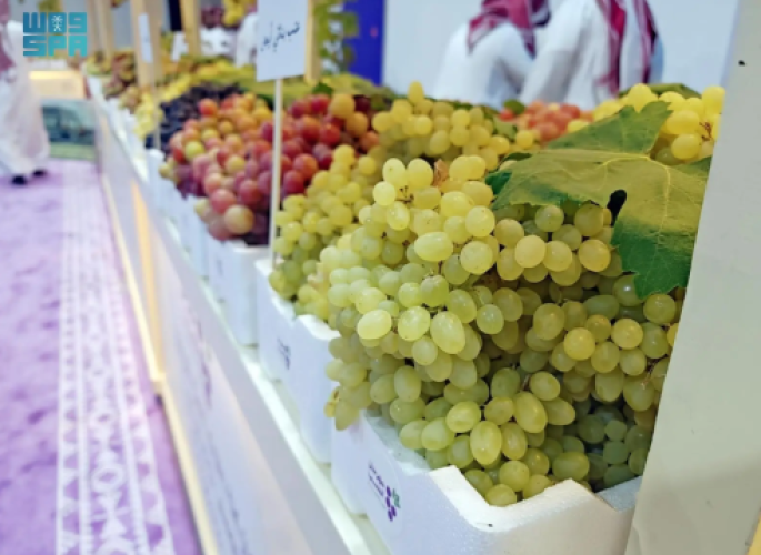 “مكتب الزراعة بالحناكية” يشارك في مهرجان العنب الأول للتعريف بالإنتاج المحلي ودعم المزارعين