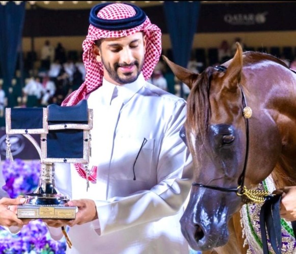الفارس السعودي تركي العثمان يتوَّج بلقب أجمل مربط للخيل في لندن ويحصد 4 ميداليات دولية