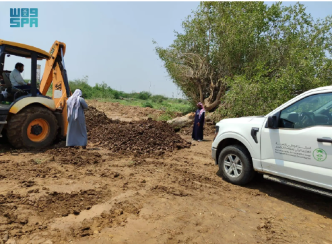 إعادة تأهيل شجرة “ضبر” المعمرة في صامطة بعد سقوطها