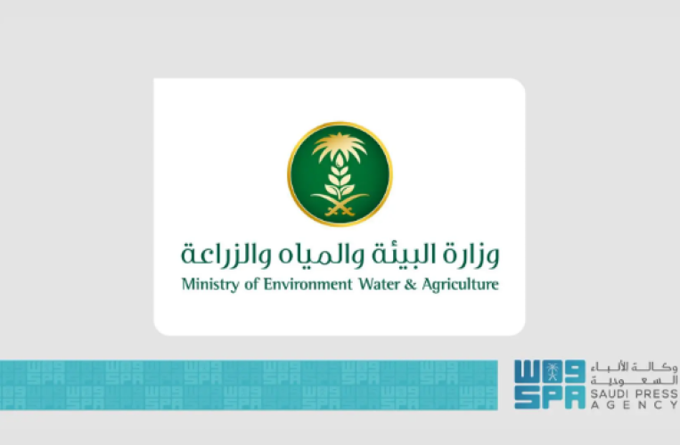 وزارة البيئة تطلق ثلاث فرص استثمارية زراعية بمنطقة مكة لتعزيز الأمن الغذائي وتنمية الغطاء النباتي