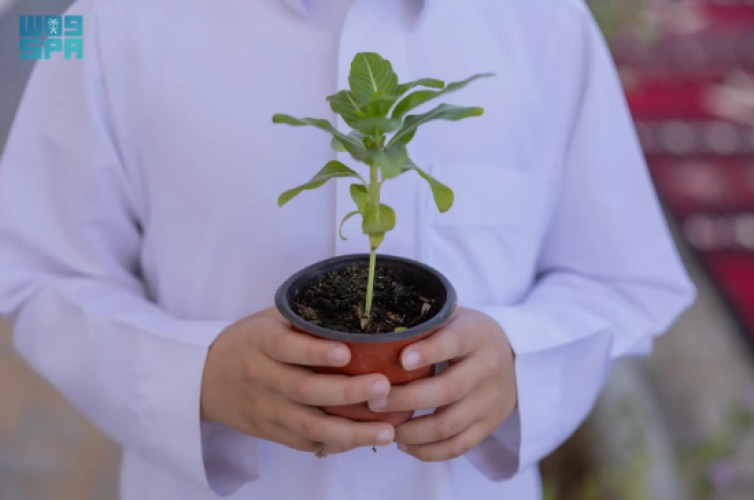 إطلاق مبادرة “المساجد الخضراء” لتحويل 664 مسجدًا بالحدود الشمالية إلى نماذج بيئية مستدامة