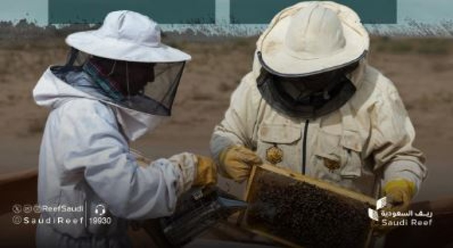 مشروع جديد لتعزيز جودة العسل المحلي وتنافسيته