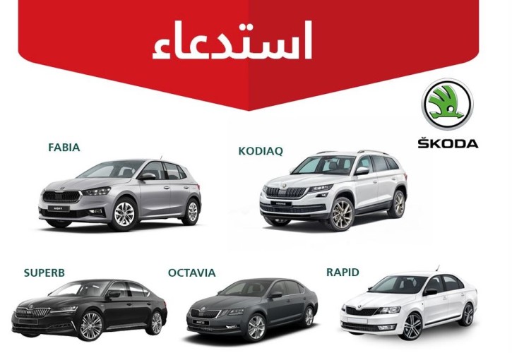 خلل في الوسادة الهوائية يستدعي 265 مركبة سكودا