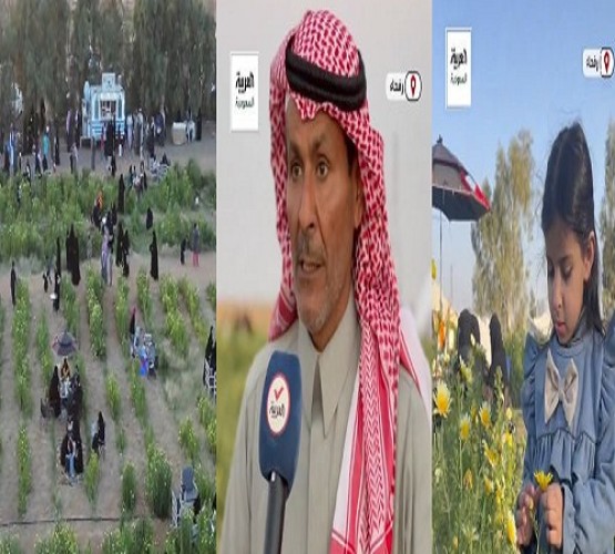 محمية الفريح.. طبيعة خلابة وضيافة مجانية في رفحاء (فيديو)