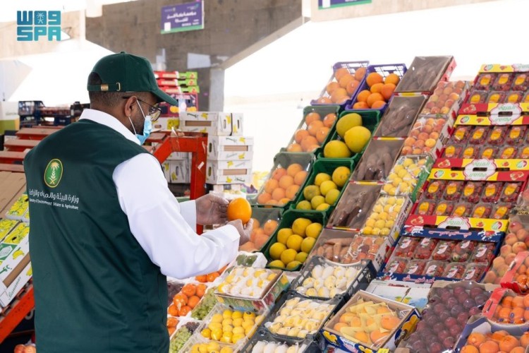 قبل رمضان.. رصد 1475 إنذاراً ومخالفة خلال 6281 جولة لضمان سلامة الغذاء