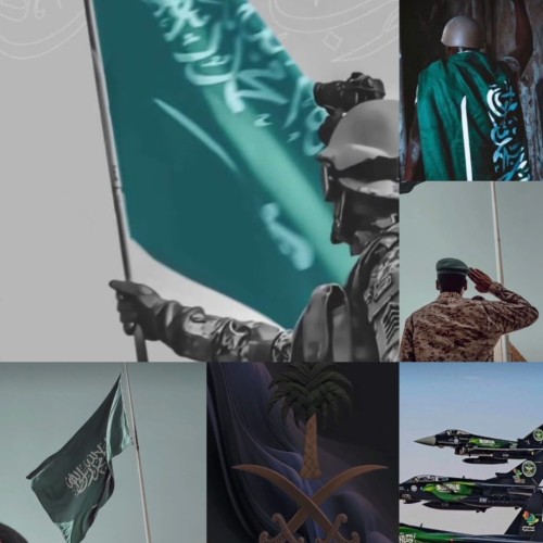 رواجم.. شعر وطني يستحضر قوة المملكة ويؤكد الثبات خلف القيادة (فيديو)