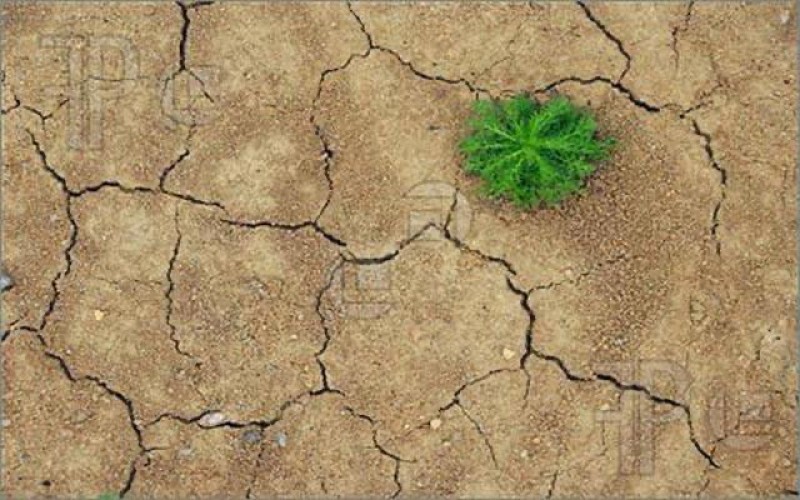 عمل صالح ينتفع به