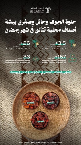 33 صنف تمر و3.5 مليون نخلة.. حلوة الجوف وصفري بيشة تتألق على موائد رمضان