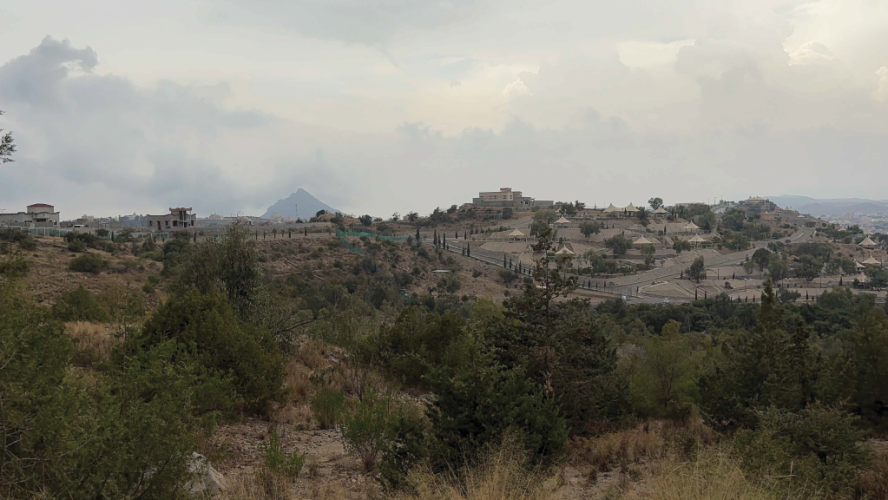 من “السكران” إلى “التلال”.. تفاصيل طرح 3 ملايين متر مربع للاستثمار البيئي في الباحة