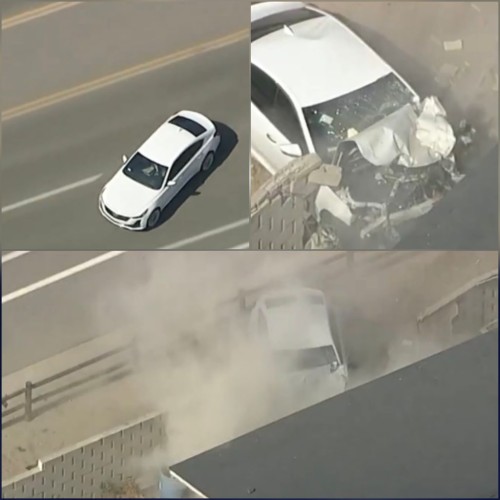 الخطاف يخذل الشرطة.. مطاردة في كاليفورنيا تنتهي بنهاية كارثية (شاهد)