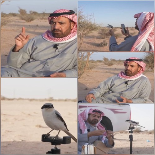 قصة صداقة غريبة في قلب الطائف.. حكاية المواطن عبد الرحمن العتيبي مع “طائر” غيّر حياته (شاهد)