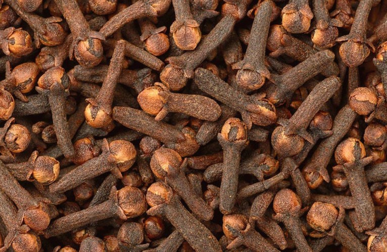 النمر يكشف السر: لماذا لا يُعتمد على القرنفل في وقف النزيف؟