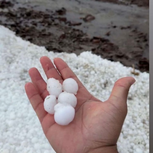 بردية تاريخية تضرب “مركز عماير المرير” و”دغيبجة حائل” وتحول الصحراء إلى لوحة بيضاء.. وتحذيرات من السيول وغرامات تصل إلى 10 آلاف ريال (صور)