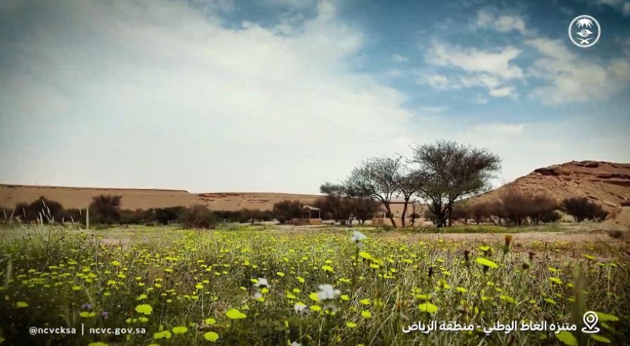 بأكثر من 200 ألف شجرة.. متنزه “الغاط الوطني” يتصدر الوجهات الطبيعية في منطقة الرياض (شاهد)