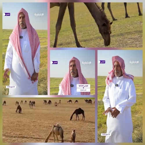 فويضي الصخابرة.. قصة مواطن يفتح مزارعه لأهل الإبل مجاناً منذ 34 عاماً (شاهد)