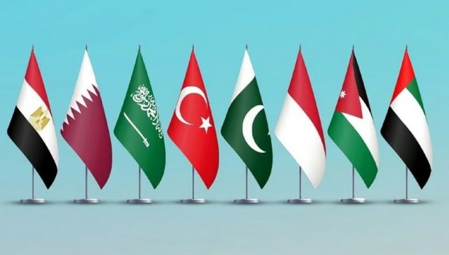 السعودية ومصر وتركيا ودول أخرى تستنكر انتهاكات بحق محتجزي أسطول غزة