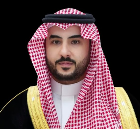 وزير الدفاع يبحث مع نظيرته في جنوب أفريقيا تعزيز التعاون العسكري والدفاعي