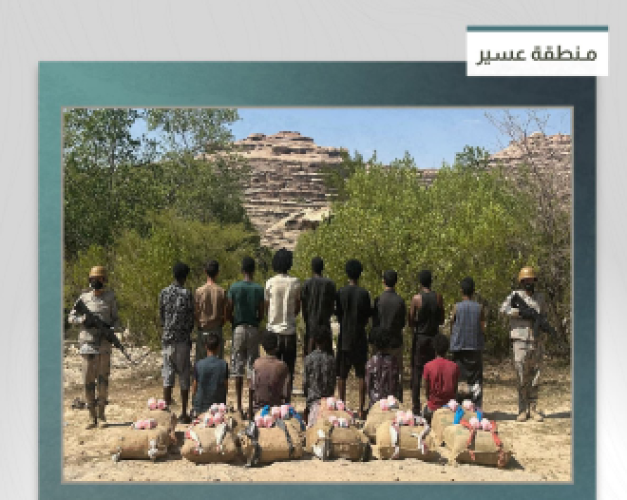 حرس الحدود بعسير يحبط تهريب 240 كيلوجرامًا من القات ويقبض على 14 مخالفًا