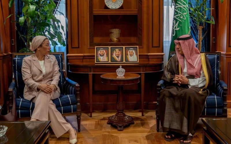 الجبير يبحث مع الأمينة التنفيذية لاتفاقية مكافحة التصحر تعزيز التعاون الدولي